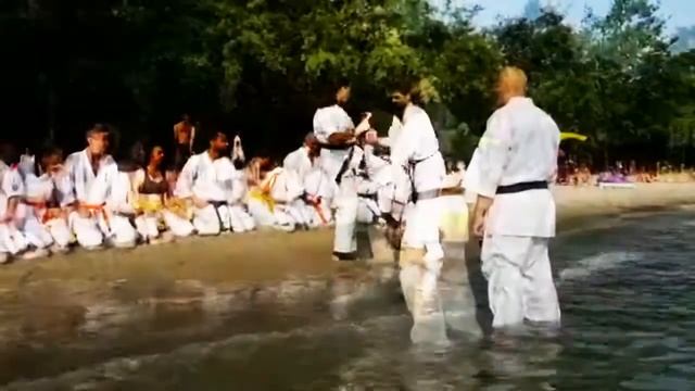 Swiss Summer Camp Karate IKO Kyokushin à Lausanne смотреть онлайн