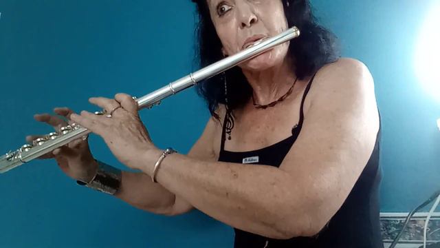 MOZART FLUTE QUARTET in D смотреть онлайн