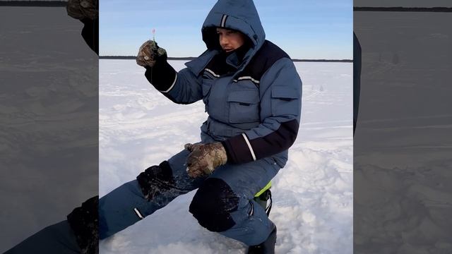 окунь монстор озеро светлое. север. Тюменская область. деревня болчары. смотреть онлайн