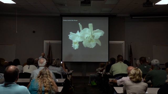 2015 - Armando Mantellini (cattleya mossiae), 5th Annual Cattleya Symposium смотреть онлайн