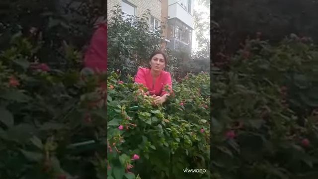 Видеорекомендации по теме 