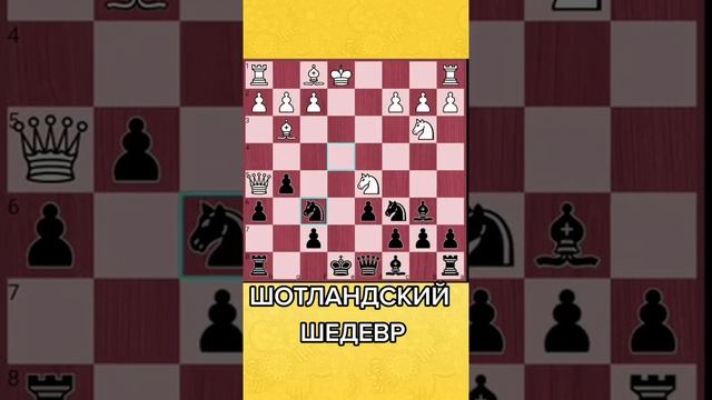 Шедевр шотландской партии #shorts смотреть онлайн