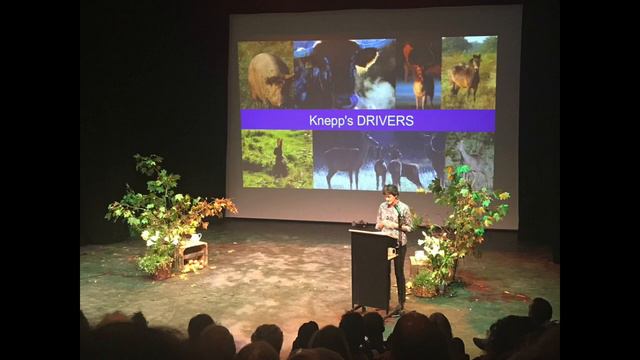 Isabella Tree speaks at The Tree Conference 2018 on rewilding смотреть онлайн
