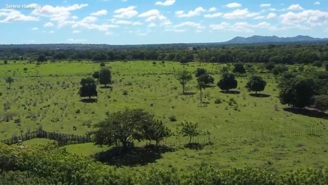 Успокаивающая музыка для нервов ? лечебная музыка для сердца и сосудов, релакс, музыка для души #48 смотреть онлайн