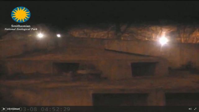 Прямая трансляция пользователя LIVE ZOO PARK смотреть онлайн