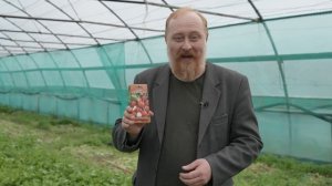 Лучшие сорта редиса от компании Гавриш