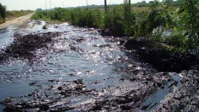 Робота учнів 10-го класу ліцею №176 імені Мігеля де Сервантеса міста Києва смотреть онлайн