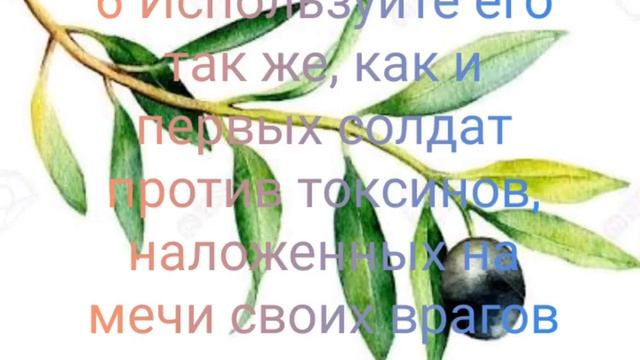 Лечение лихорадки; /! Листья оливкового дерева; /; эффективное и безопасное лечение смотреть онлайн