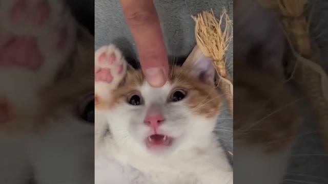 Пуньк смотреть онлайн