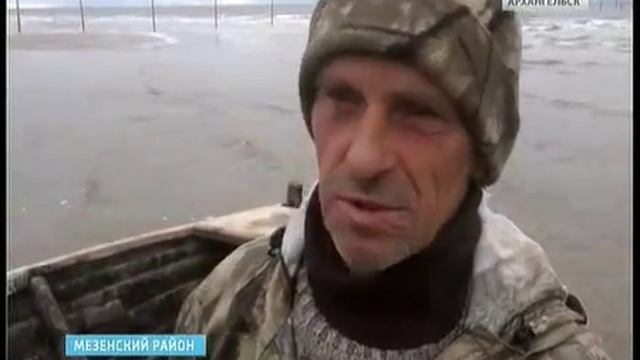 В Мезенском районе завершился сезон добычи горбуши смотреть онлайн