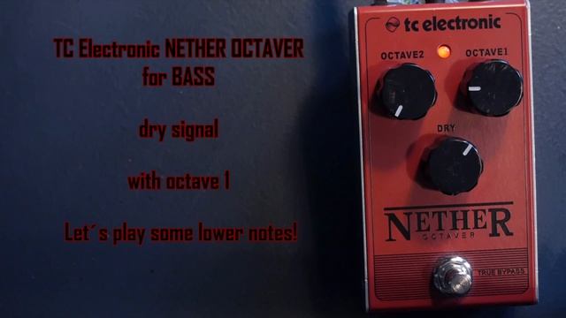 TC Electronic Nether Octaver for Bass смотреть онлайн