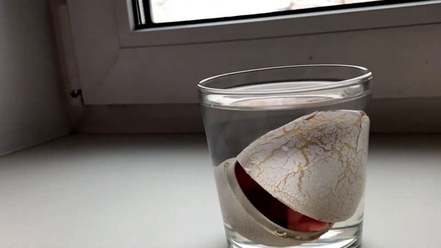 Розовый динозавр вылупляется из яйца/Pink Dinosaur Hatching From An Egg /Fix Price