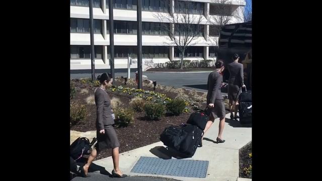 Видео блог Америка/ как садятся в автобус стюардессы смотреть онлайн