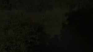 #13 Экскурсия по нашим владениям.