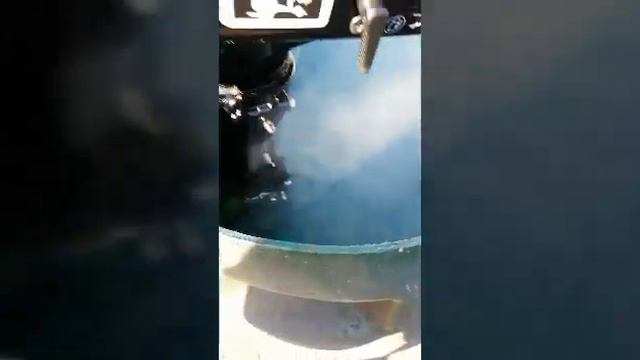 Лодочный мотор hangkai 6.0 смотреть онлайн