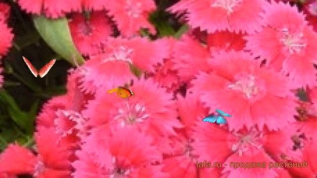 Строительный Детектив