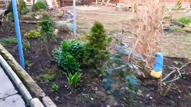 УБОРКА КЛУМБ. ЖИТТЯ В СЕЛІ. смотреть онлайн
