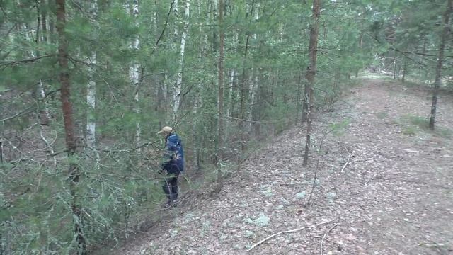 ГРИБЫ СРЕЗАТЬ ИЛИ ВЫКРУЧИВАТЬ!? БЕЛЫЕ ГРИБЫ! Белый гриб ГИГАНТ! смотреть онлайн