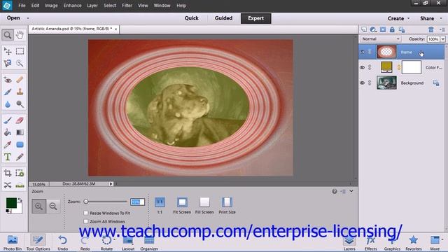 Adobe Photoshop Elements 12 Tutorial Layers Employee Group Training 10.7 смотреть онлайн