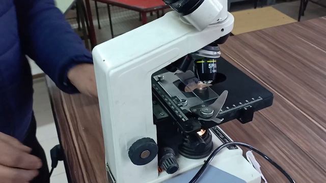 EXPERIMENTAL STUDY OF CELL VIABILITY OF POLLEN GRAINS THROUGH BINOCULAR MICROSCOPE I BY ASHOK KUMAR смотреть онлайн