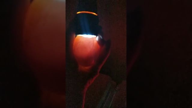 Овоскопирование утиного яйца, 20 дней от начала закладки. смотреть онлайн