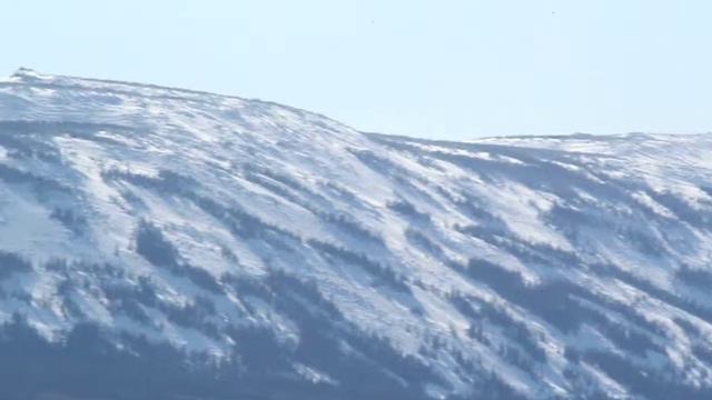 сохатка смотреть онлайн