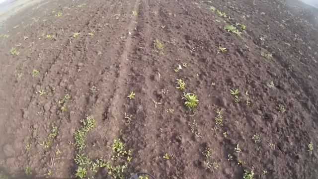 В ПОИСКАХ КЛАДА. ПОИСК С МЕТАЛЛОДЕТЕКТОРОМ ПО ПОЛЯМ. ПОИСК ЗОЛОТА, СЕРЕБРА, МОНЕТ. смотреть онлайн