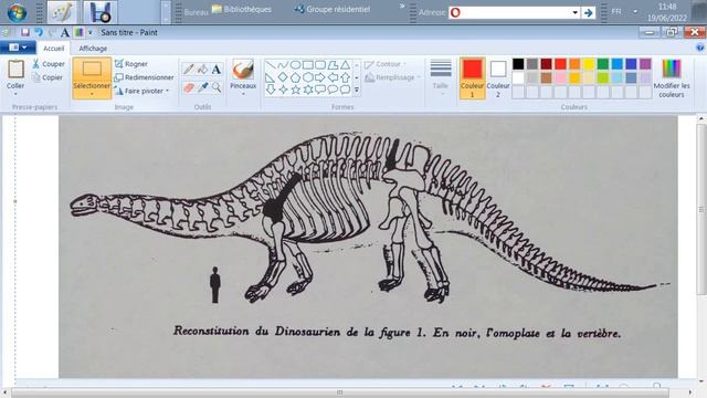 Ecosystèmes anciens - Quelques animaux préhistoriques смотреть онлайн