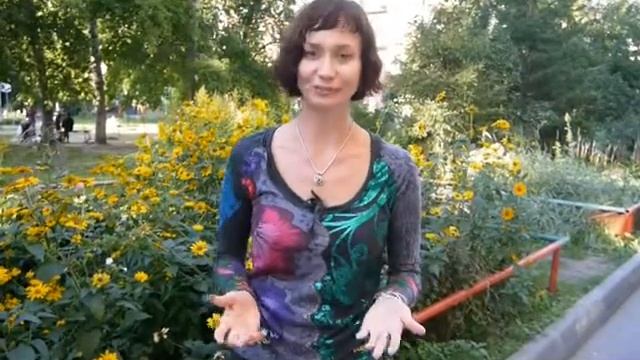 Новости расписания. Регулярные занятия (йога+крия) в центре Мира смотреть онлайн