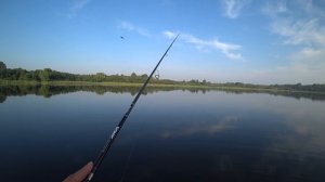 Испытание РАТЛИНОВ. Какой ратлин лучше ?