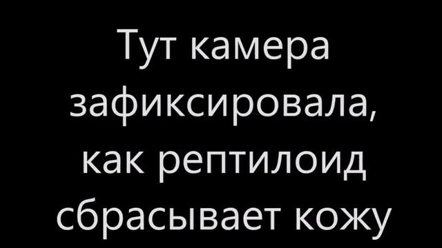 расса рептилоидов которые живут в недрах полой земли и управляет нами! смотреть онлайн