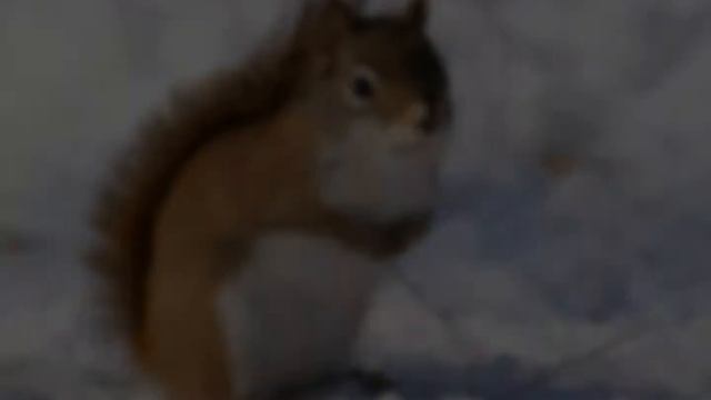 Зимний вальс смотреть онлайн