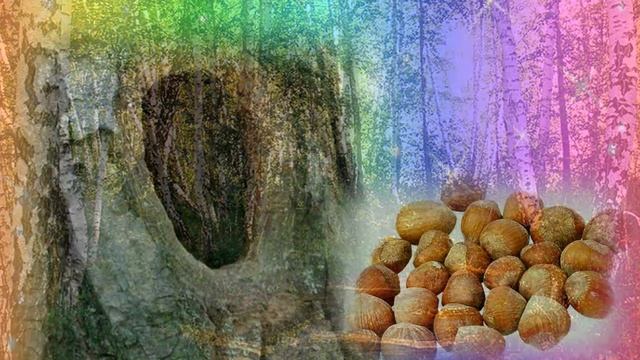 Песенка-загадка. Загадка для самых маленьких. Песенка-загадка про белочку. смотреть онлайн