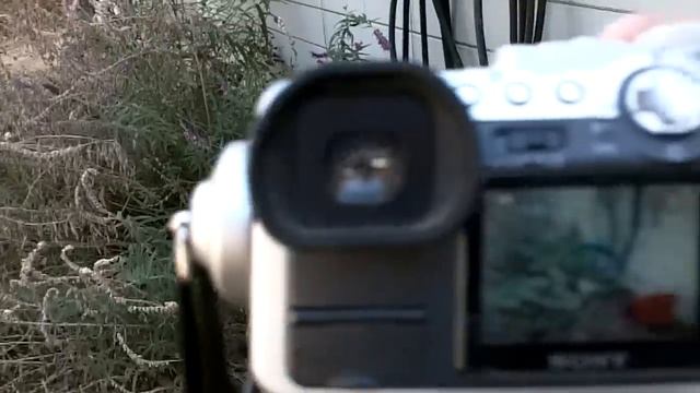 Sony DSC F717