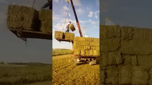 Газ66 ,шишига , манипулятор