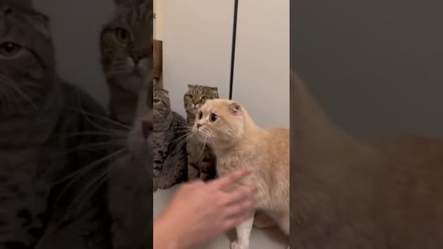 Прикольный юмор