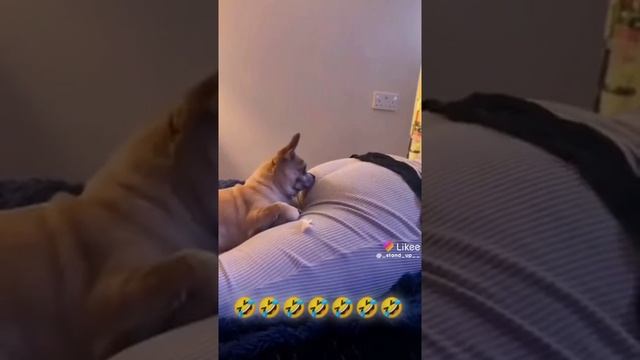 полный ржач смотреть онлайн