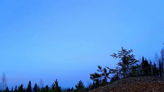 Пояс Венеры