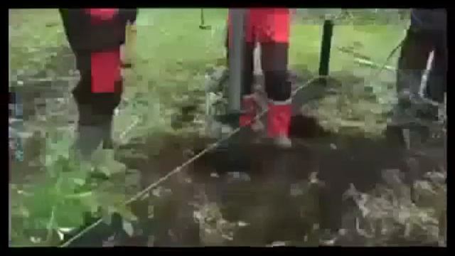 винтовые сваи киев смотреть онлайн