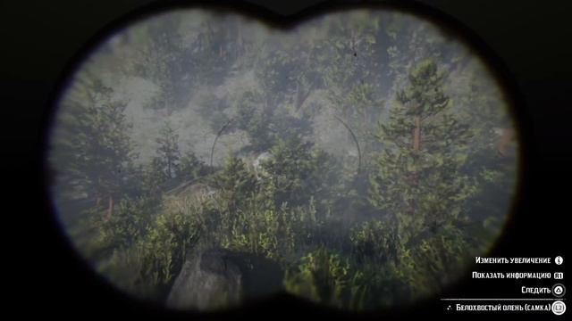 Черная (тигровая) арабская лошадь в Red Dead Redemption 2. Где найти? смотреть онлайн