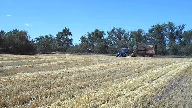 Трактор Беларус-892 и КИР-1.5. с.Дмитровка смотреть онлайн