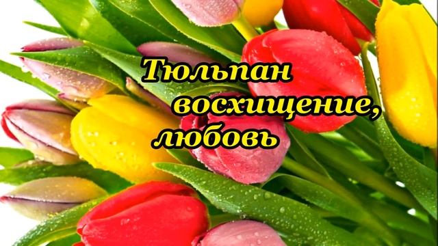 Секрет цветочного букета смотреть онлайн