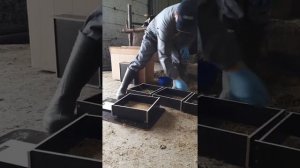 Сепаратор кормов "СПЛИТ" (Пенсильванское сито)