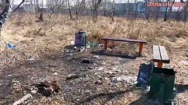 Витаминизация одуванчиками:) ☘️Тубус кварц/Наша первая бабочка и подснежники/Камчатский краб/Снег? смотреть онлайн