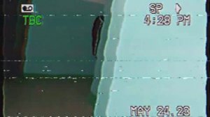 Непонятное существо в подъезде VOL.1