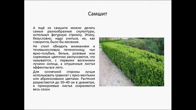 Цветочная лента бордюр в саду смотреть онлайн