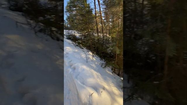 Солнечный день в Кудымкаре на Сноубордах