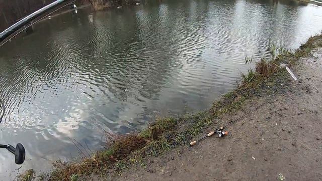 Форель на колебло и резину. Diepeschrather Mühle. Mit Spoons und Gummi смотреть онлайн