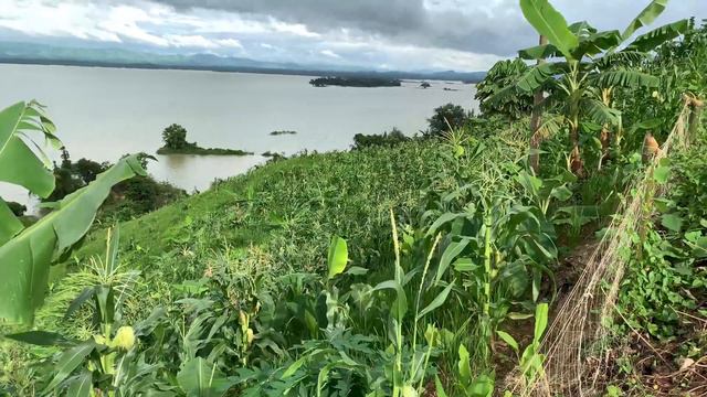 Beauty Of Rangamati 4K | iPhone XS Max Raw Footage смотреть онлайн