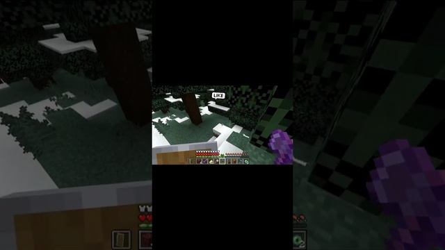 I found Minecraft Rare Arctic fox and Baby Arctic fox ?. смотреть онлайн